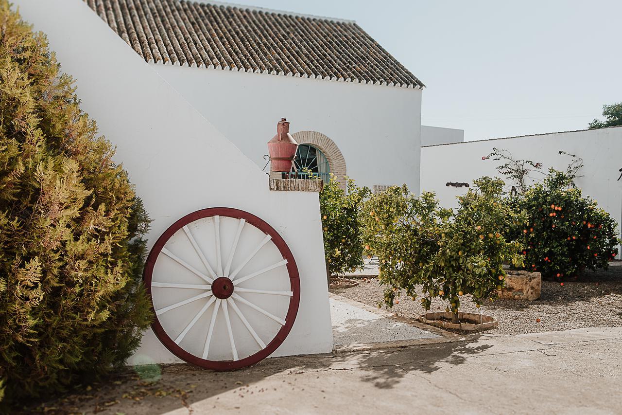 Cortijo Santa Clara Villa Carmona  Exterior photo